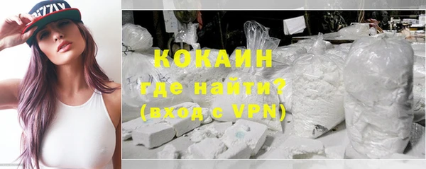 соль ск Вяземский