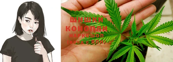 соль ск Вяземский