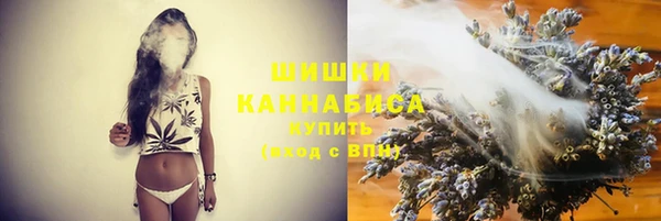 соль ск Вяземский