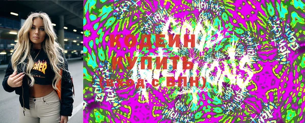 соль ск Вяземский