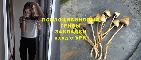тгк Вязники